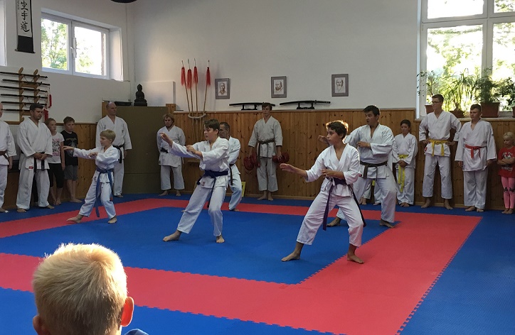 Karate trénink SHIN-KYO