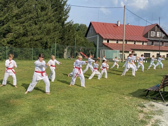 Kondiční box SHIN-KYO